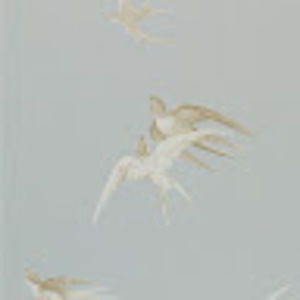 Meet your Posher, Lizzeth